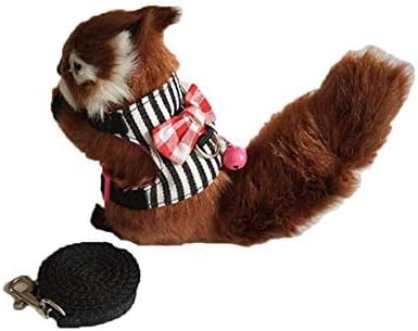 Wontee Small Pet Harness Vest and Leash Set with Bowknot and Bell Decor for Gerbil Guinea Pig Squirrel Kitten Outdoor Walking (M, Black Stripe)