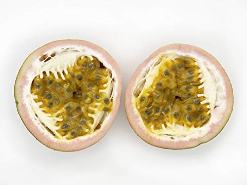 Fresh Passion Fruit (2lb)