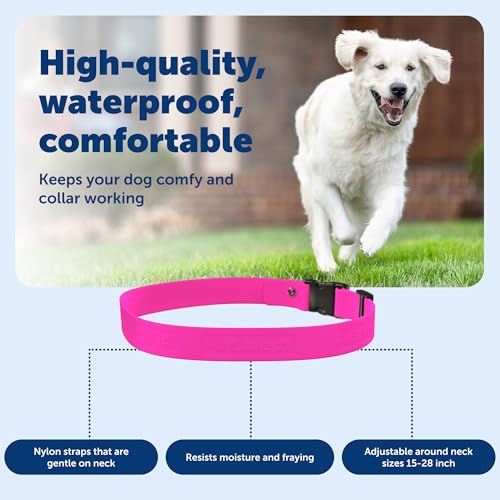 PetSafe Replacement Strap for Guardian GPS + Tracking Dog Fence Collar, Made with Soft-Touch Nylon for Enhanced Comfort and Long-Lasting Wear - Water-Wicking, Waterproof Material, Pink - Image 5