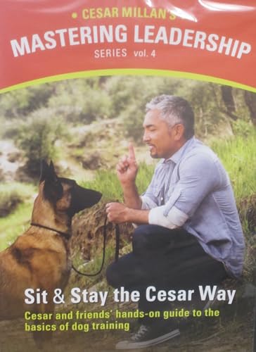 Cesar Millan's Sit and Stay the Cesar Way: Vol. 4 Mastering Leadership Series