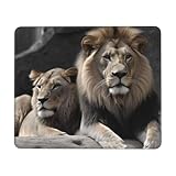 Dimensions précises : Le nombre d'or de 25 x 30 cm offre une grande liberté de mouvement sans occuper trop d'espace sur le bureau, ce qui en fait la solution idéale pour les bureaux de petite et moyenne taille, les dortoirs ou les bureaux de jeu. Il s'adapte également à la plupart des réglages de sensibilité de la souris.