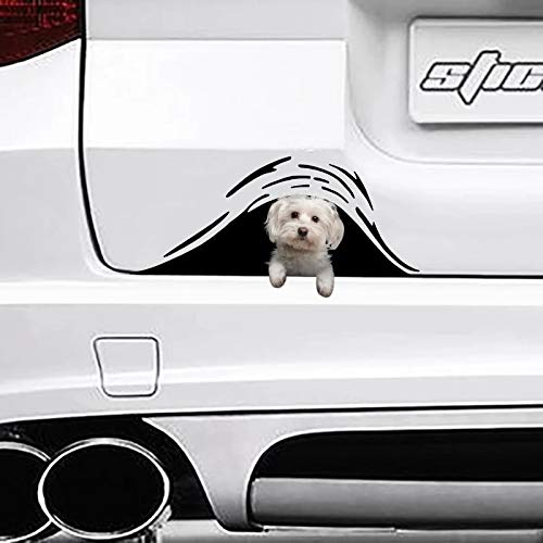 Onim Maltese Dog Sticker, Phone Decal Water Bottle Stickers Car Decals Funny Birthday Gift