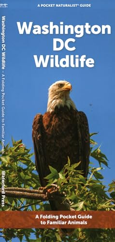 Washington DC Wildlife (Nature Observation North America)