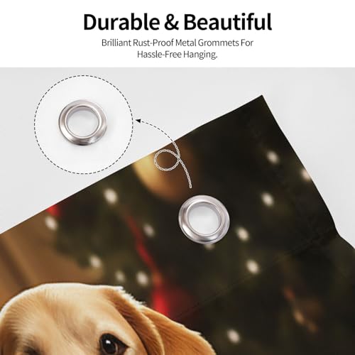 Drapeau de fête de Noël pour chien anti-déchirure impression HD durable - 3