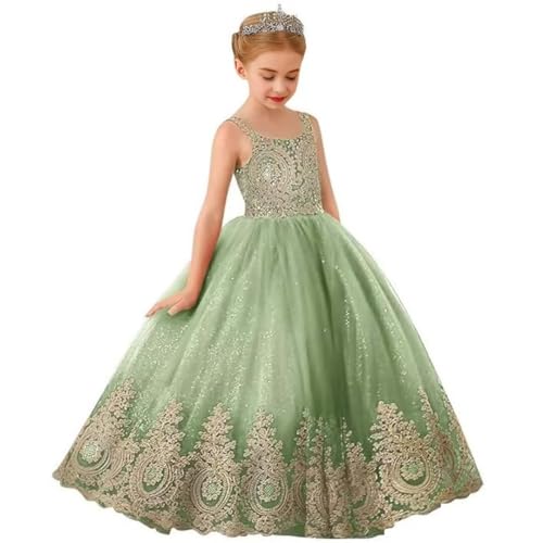 Flower Girl Dress Princess Applique Pageant Dresses Kids First Communion Dress Birthday Party Formal Prom Ball Gowns