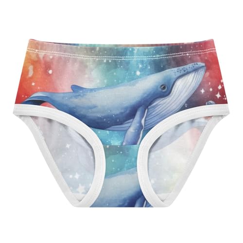 Funny Toddler Girls Underwear 2t Cotton Little Girl Panties Galaxy Whales Rainbow Briefs Kids Undies - Main Image