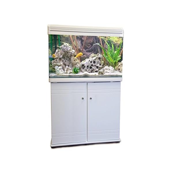 Boyu Aquarium Fish Tank & Cabinet 60cm 80L (White)