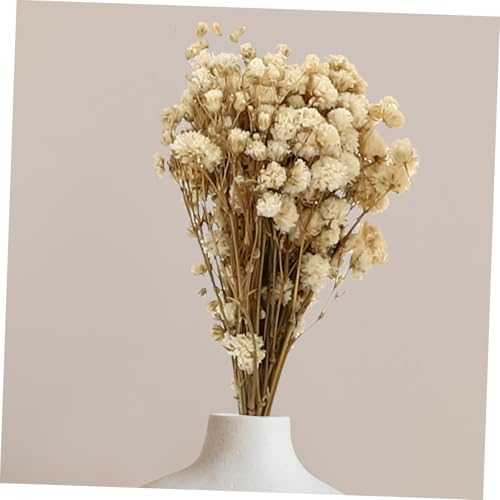 Alipis 6pcs Ramo de Flores Secas Elegante Babys Breath miniatura 5