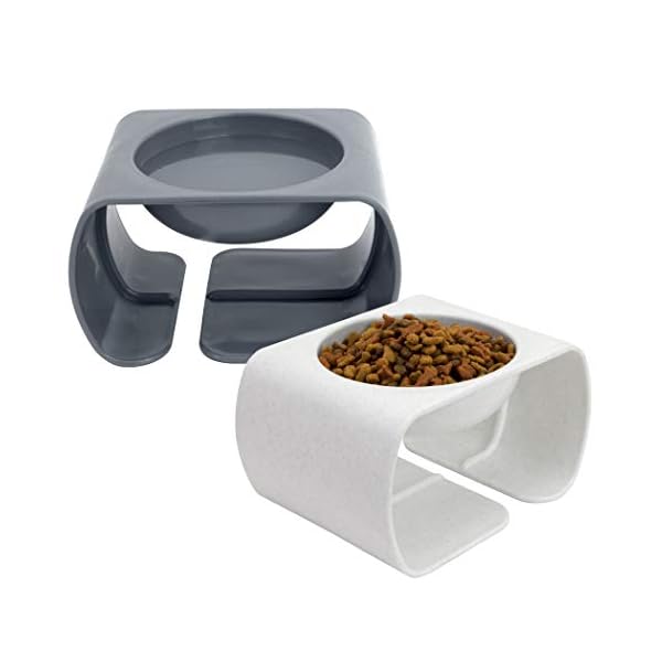 Kitty City Raised Bowls