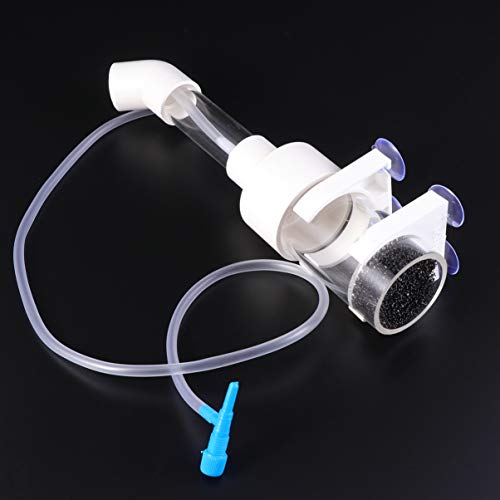 POPETPOP Incubatrice per Uova di Pesce