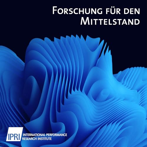 SubaSa - Entwicklung eines Markteinf&uuml;hrungsnavigators f&uuml;r Subscription Gesch&auml;ftsmodelle in der produzierenden Industrie