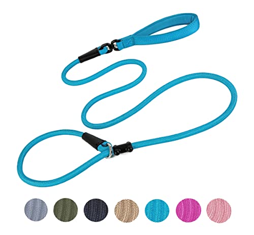 Slip Lead Dog Leash Strong Nylon Rope Leash with Comfortable Handles and Walking Training Lead for Small Medium Large Dogs (Blue