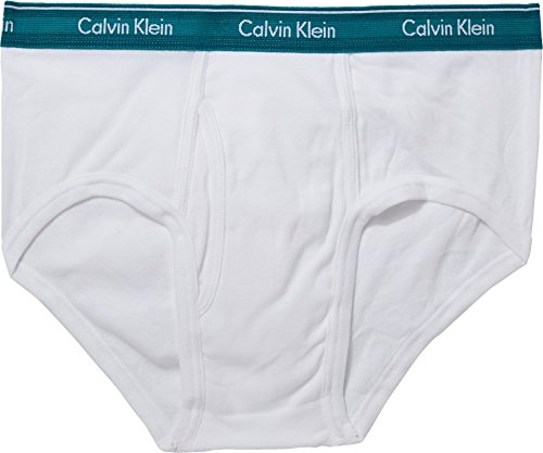 Image of Calvin Klein Men's 4-Pack Cotton Classic Basic Brief