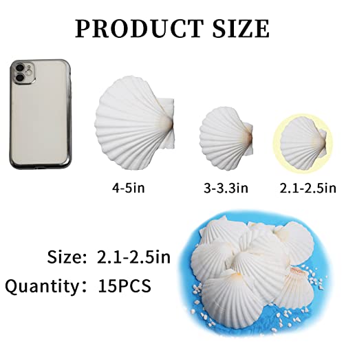 HOHUCRAB 15pcs 2-3inch Scallop Shells, Natural Scallop Shells, Sea Shells for Crafting, Seashells Beach Decorations for Home, Beaching Wedding Decoration - Image 3