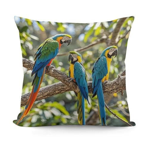 Image of FekiLoot Colorful Parrots On Tree Throw Pillow Cover Soft Decorative Pillow Cover Modern Square Cushion Cover Cozy Cushion Case Farmhouse Home Decor for Sofa Couch Living Room 18 X 18 Inch