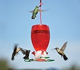 Big Red Hummingbird Feeder