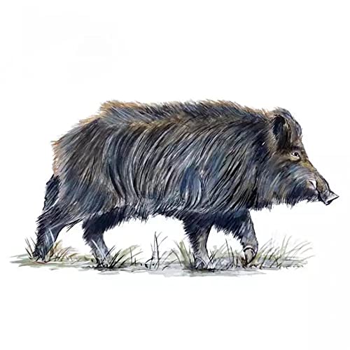 MACMRD Auto Aufkleber 13 cm Auto Aufkleber Tiere Wildschwein Vinyl Aufkleber Für Auto Motorrad Stoßstange Körper Heckscheibe Dekorative Aufkleber
