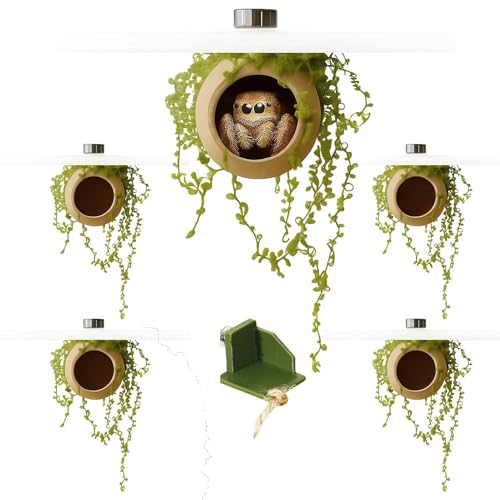 YOMENO 4Pcs Jumping Spider Enclosure Accessories Cocoon-Shaped Jumping Spider Hideaway with Artificial Moss and 1 Pcs Resting Platform Magnetic Small Animal Shelter Toy (Natural Wood Color)