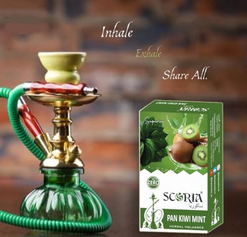 Image of SCORIA Superior Hookah Double Apple, Brain Freezer, Dubai Special, Kesar Pan, Pan Kiwi MInt, Chocolate Flavour & 3 Box Filter (Pack Of 9)