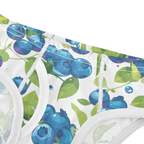 Wusikd Blueberries Fruity Boys' Underwear Cotton Boys Briefs Soft Toddler Underwear 2T4