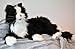 Joy for All Robotic Reclining Black & White Tuxedo Cat - Stuffed Animal Therapy for People with Memory Loss from Aging and Caregivers