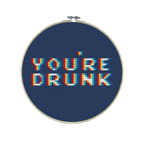 You're Drunk Mini Premium Cross Stitch Kit - Everything Included - 4 Inch Hoop, Needle, DMC Thread, Navy Blue Fabric, and Easy-to-Follow Instructions