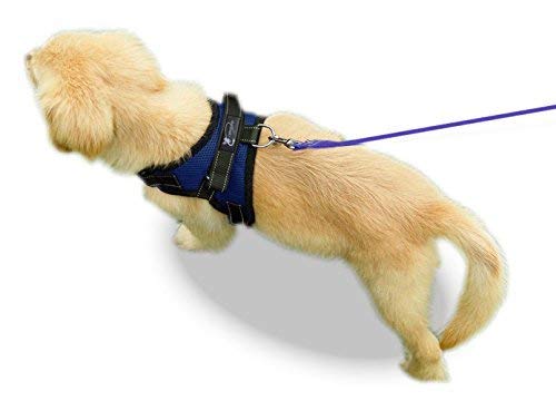 Copatchy No Pull Adjustable Reflective Dog Harness With Handle (Small, Blue) #TOP2