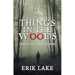 Things in the Woods Audiolibro Por Erik Lake arte de portada