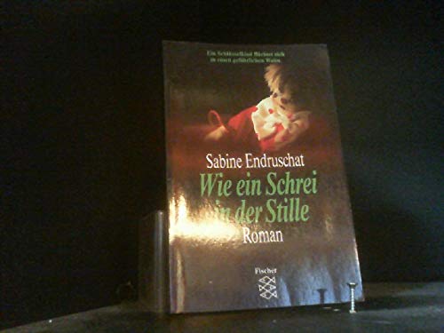 Schrei In Der Stille Buch Kapitel Zusammenfassung Wie ein Schrei in der Stille: Roman : Erdruschat, Sabine: Amazon.de: Bücher