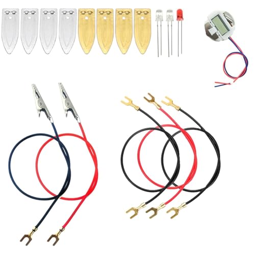 Reinscer Kit de experimentación científica con pilas de frutas, reloj electrónico y LED RGB para juguetes de enseñanza DIY