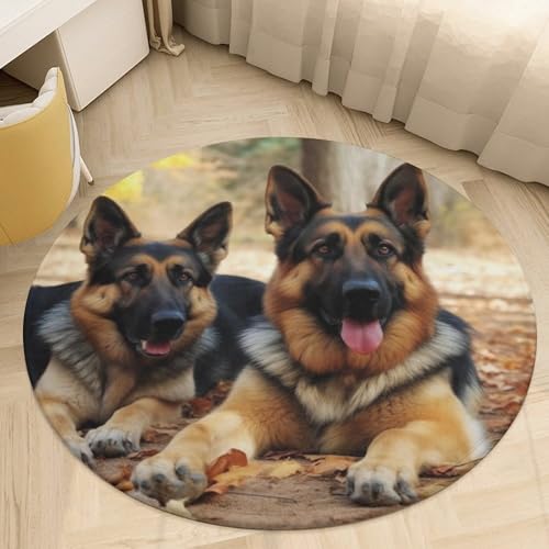 �v���b�V�� �R�[���� �x���x�b�g ���E���h �G���A���O 3�t�B�[�g �ɔ� 0.5 cm �W���[�}���V�F�p�[�h �� �t���A�}�b�g ����~�� TPR �o�b�L���O ���[�p�C�� ����\ �E�F���J���t�����g�h�A�}�b�g �Q�� �o�X���[�� ���ւ̑����p