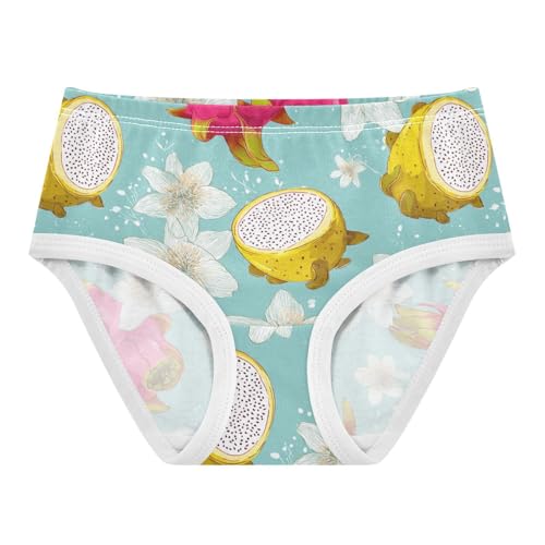 Wusikd Dragon Fruit Flowers Girls' Underwear Cotton Girls Briefs Soft Toddler Underwear 2T
