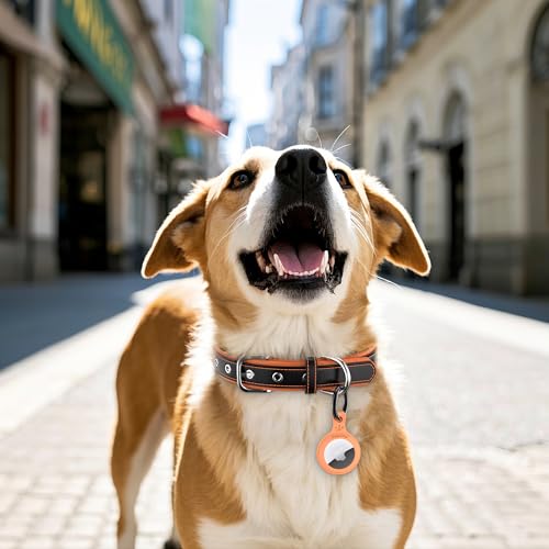 Leather Dog Collar with AirTag Holder-Compatible with Airtag, Adjustable & Personalised for Small Medium, Large Dogs - Image 2