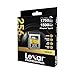 Lexar 256GB Professional CFexpress Type B Memory Card GOLD Series, Up To 1750MB/s Read, Raw 8K Video Recording, Supports PCIe 3.0 and NVMe (LCXEXPR256G-RNENG)