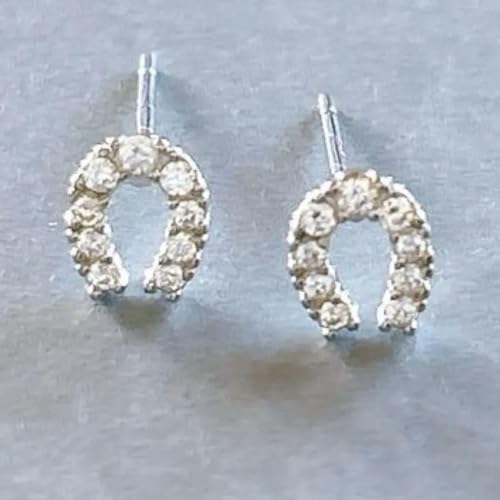 n z[XV[ sAX Xg[ S925|Xg Vo[