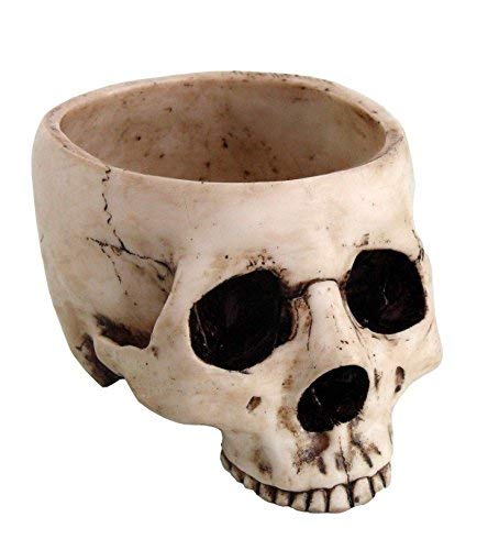 Skeleton Skull Medium Kitchen Bowl Figurine Skeleton Skull Medium Kitchen Bowl Figurine