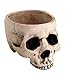 6.75 Inch Ceramic Open Skeleton Skull Figurine Medium Bowl, Beige