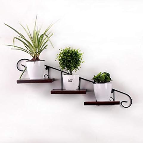 AOUFFS Hanging Flower Stand Wall Hanging Decoration Plant Shelf Rack Wrought Iron Indoor Cafe Bar Living Room Kitchen Balcony Cover