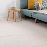 Fantastischer Teppichboden für: Schlafzimmer, Kinderzimmer, Wohnzimmer, Gästezimmer u.v.m.