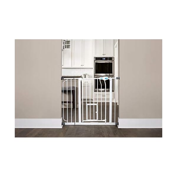 Carlson Extra Wide Walk Through Pet Gate with Small Pet Door, Includes 4Inch Extension Kit