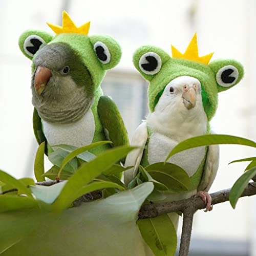 Image of Bird Costume Diaper Flight Suit Frog Shape Hoodie Clothes Cosplay Photo Prop for Parrots Parakeet Cockatiel Sun Conure, Small Animals Apparel (Pink Without Diaper, Small), Green