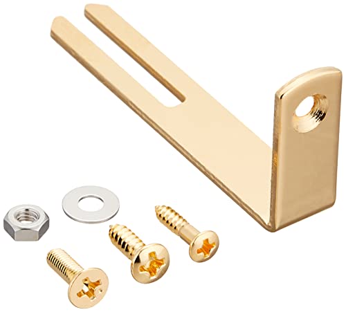 Pickguard Bracket Doré Hosco pour Support de Plaque de Guitare