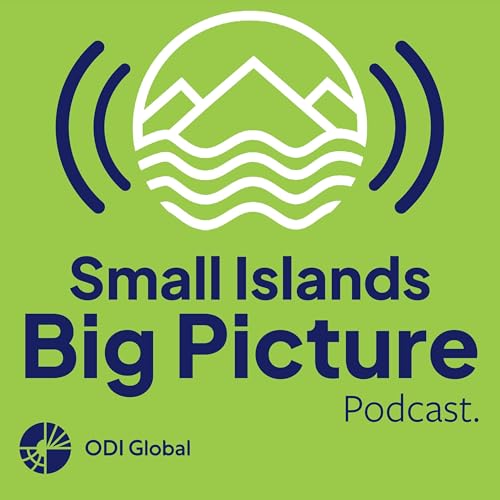 Protecting our oceans: is impact investing the big ticket for small islands?