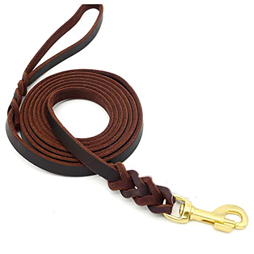 Dog walking outdoors with leather leash
