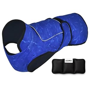 Dog Cooling Vest with Ice Pack – 2-Layer Evaporative Cooling Jacket with High Collar, UV Protection & Size-Matched Ice Pack – Cooling Vest for Dogs for Hot Weather (Blue Aqua, Small)