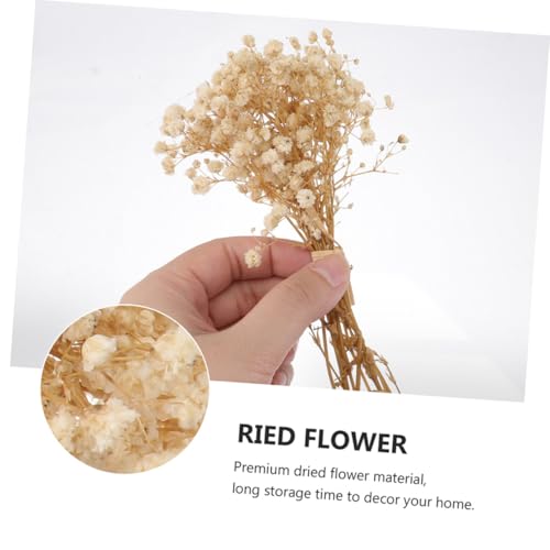 Ramo de flores secas Babys Breath mini arreglo 6 pcs miniatura 3