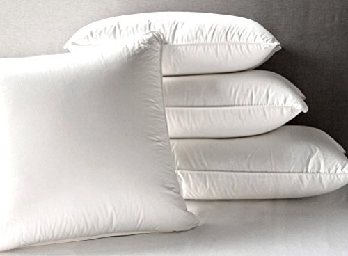 Web Linens Inc Feather & Down Pillows Exclusively by Blowout Bedding RN# 142035 - Queen