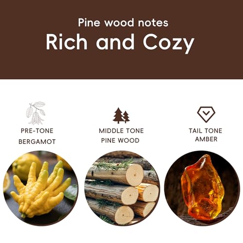 CORROY Car Air Freshener Natural Essential Oil Scent, Odor Eliminator and Purifier, Vent Clip Air Freshener for Car (Starter/Pine)