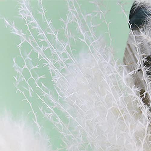 UGPLM Grama seca, flores secas para arranjo de ramo decoração de casa, decoração de mesa quarto sala