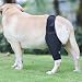 Teksome Hüftbandage für Hunde – Hüftbandage für Hunde, passt sich besser an die Beine des Hundes an | Hunde-Hüftgelenk-Bandage bietet Unterstützung und Komfort, ohne die Mobilität des Hundes zu